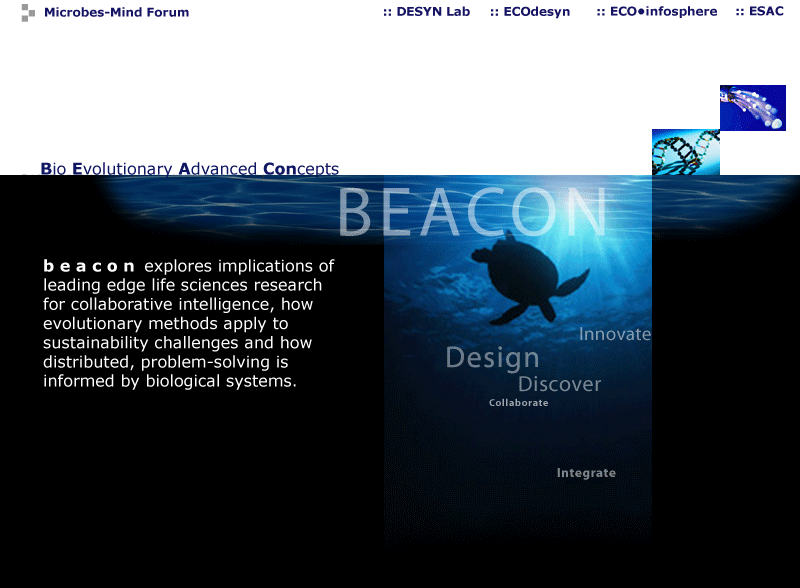 BEACon  Bio-Evolutionary Advanced Concepts