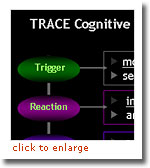 TRACE Cognitive Model and Knowledge Processor